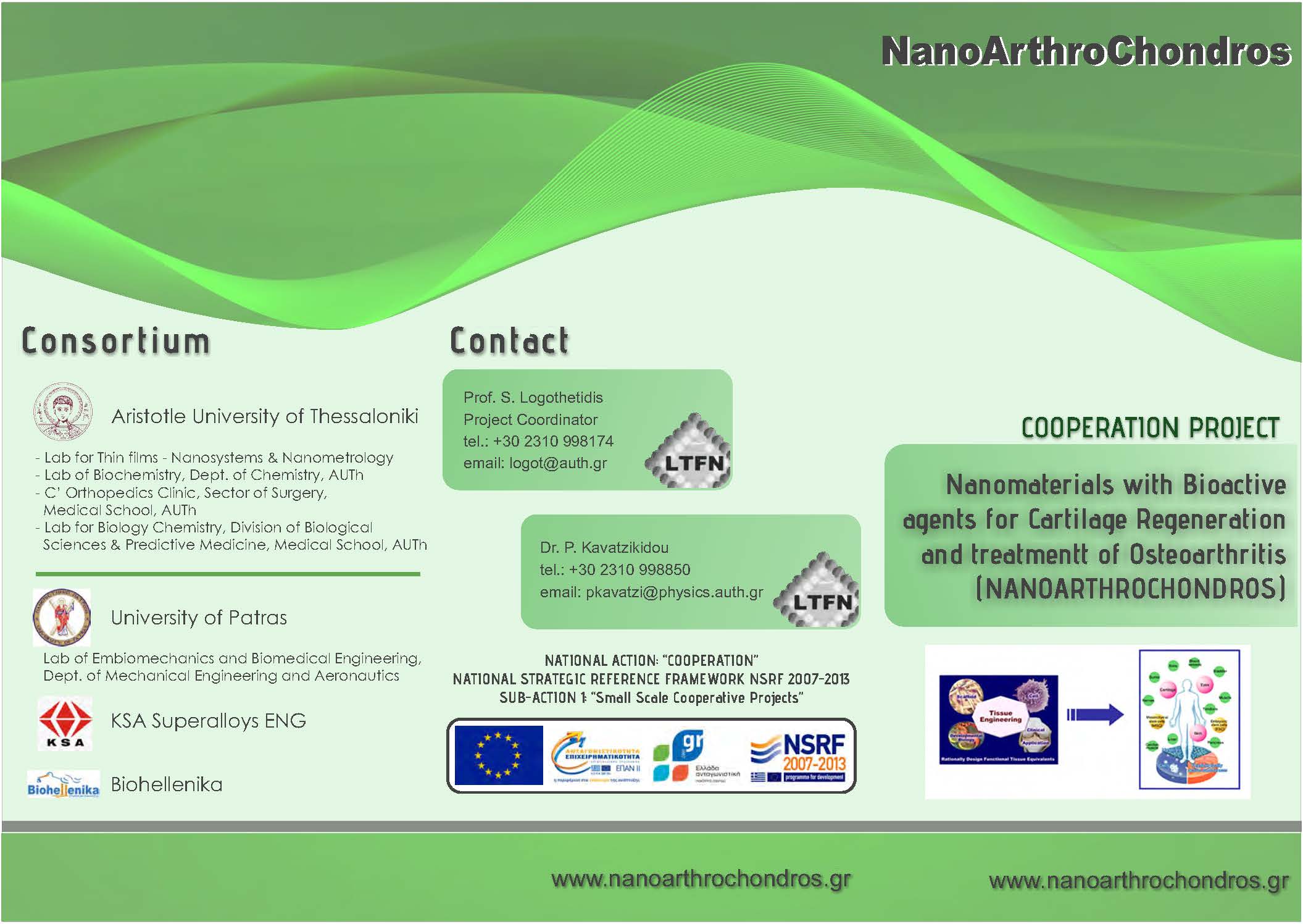 nanoarthrochondrosf low